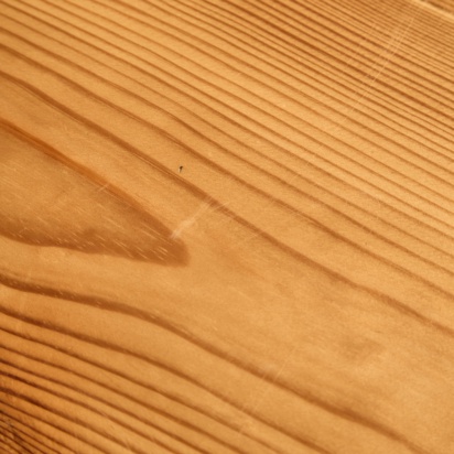 Canadian Pine Table