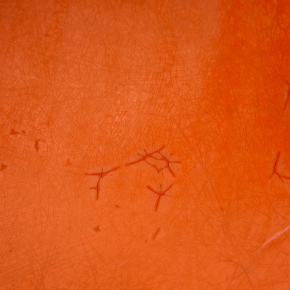 Set of Single-base Orange Chairs